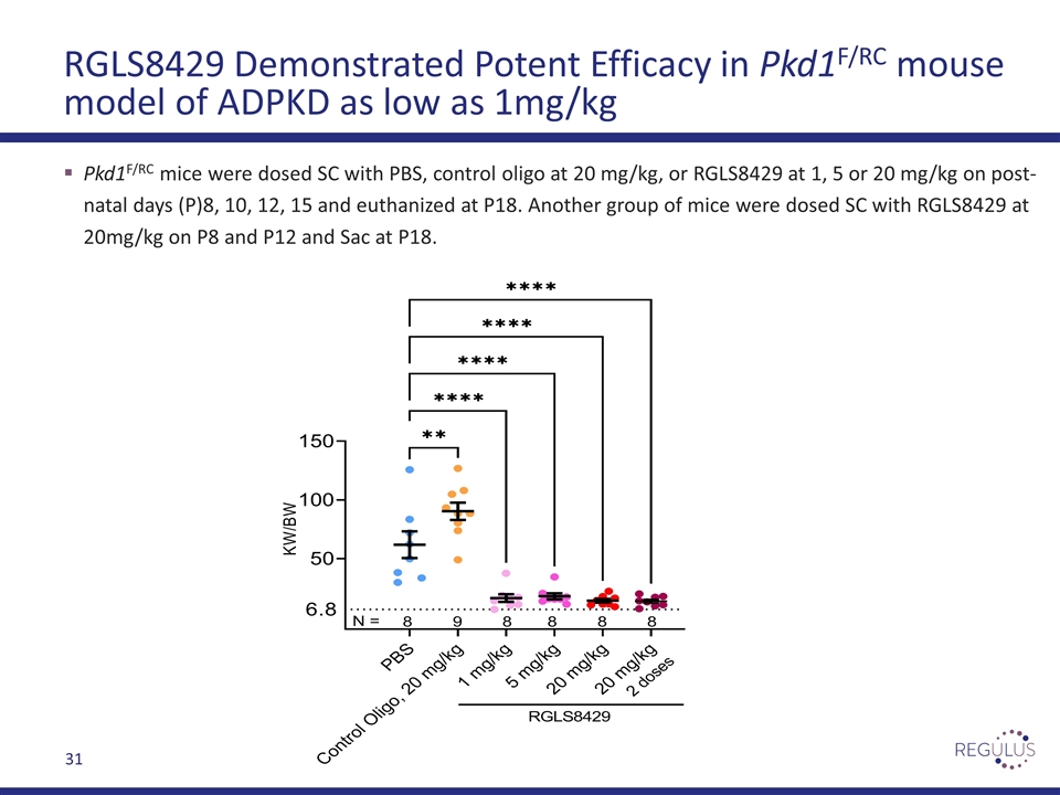 Slide 31