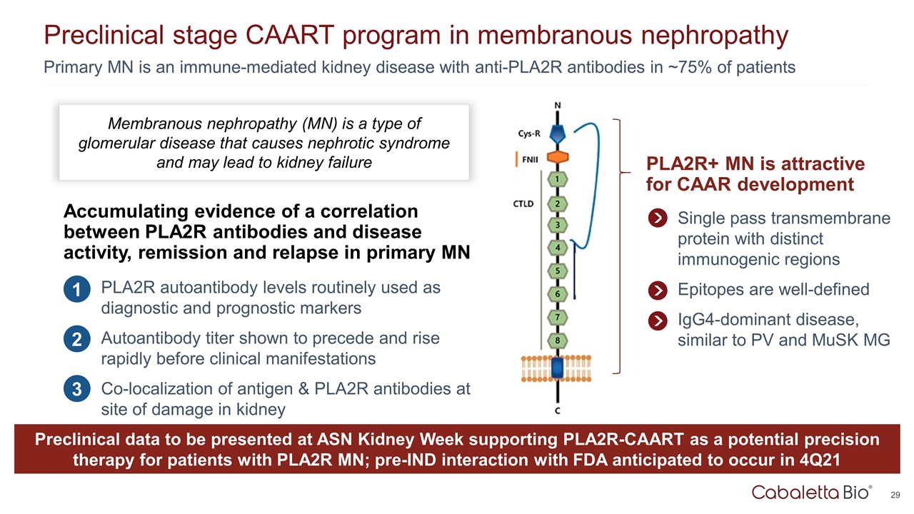 Slide 29