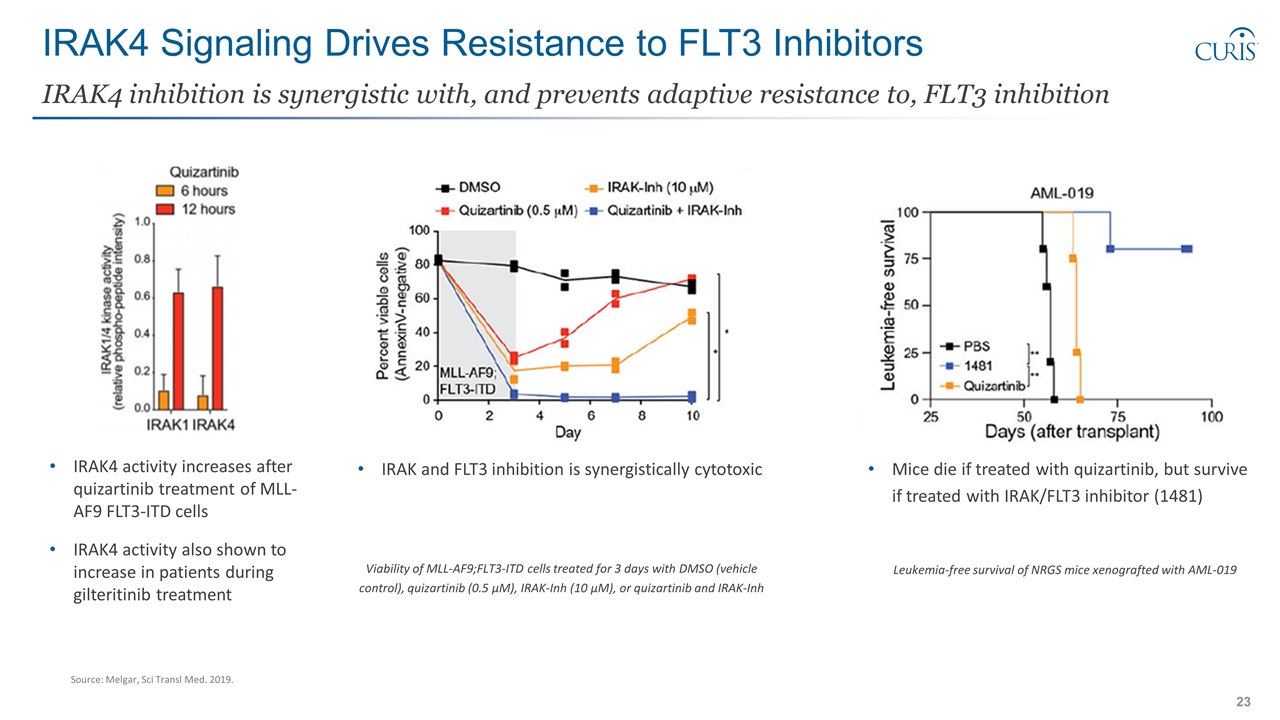 Slide 23