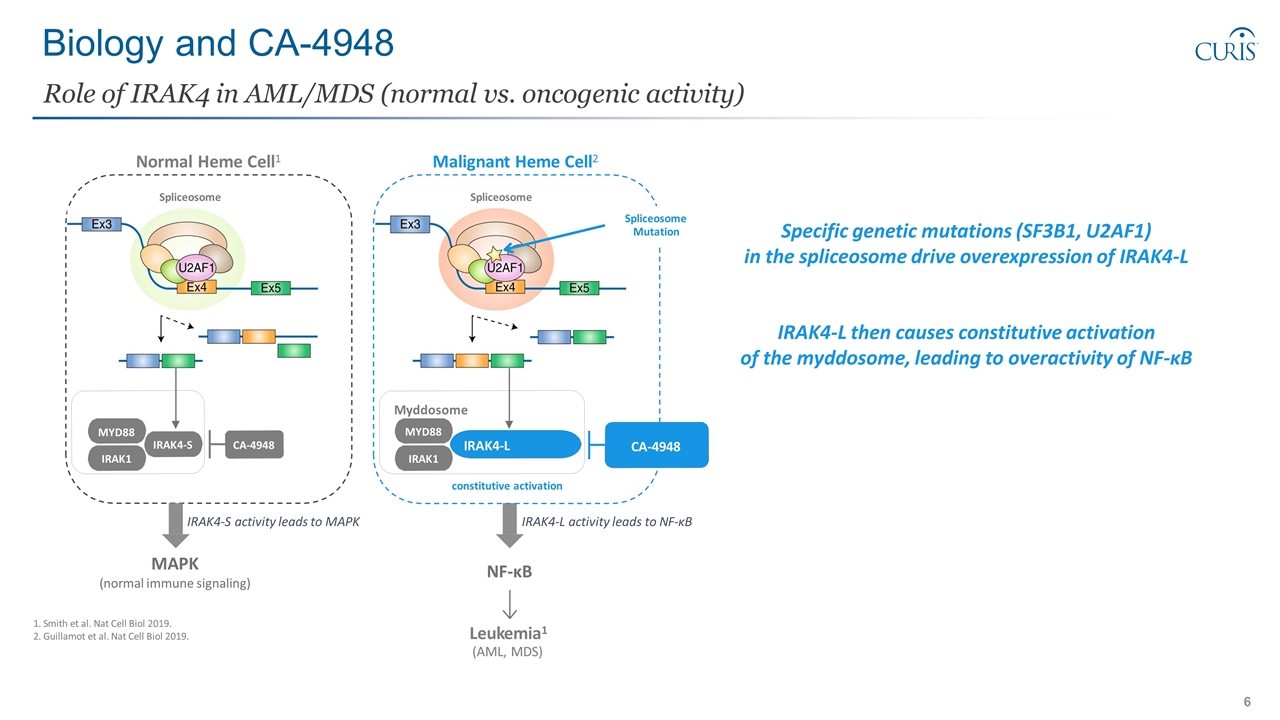 Slide 6