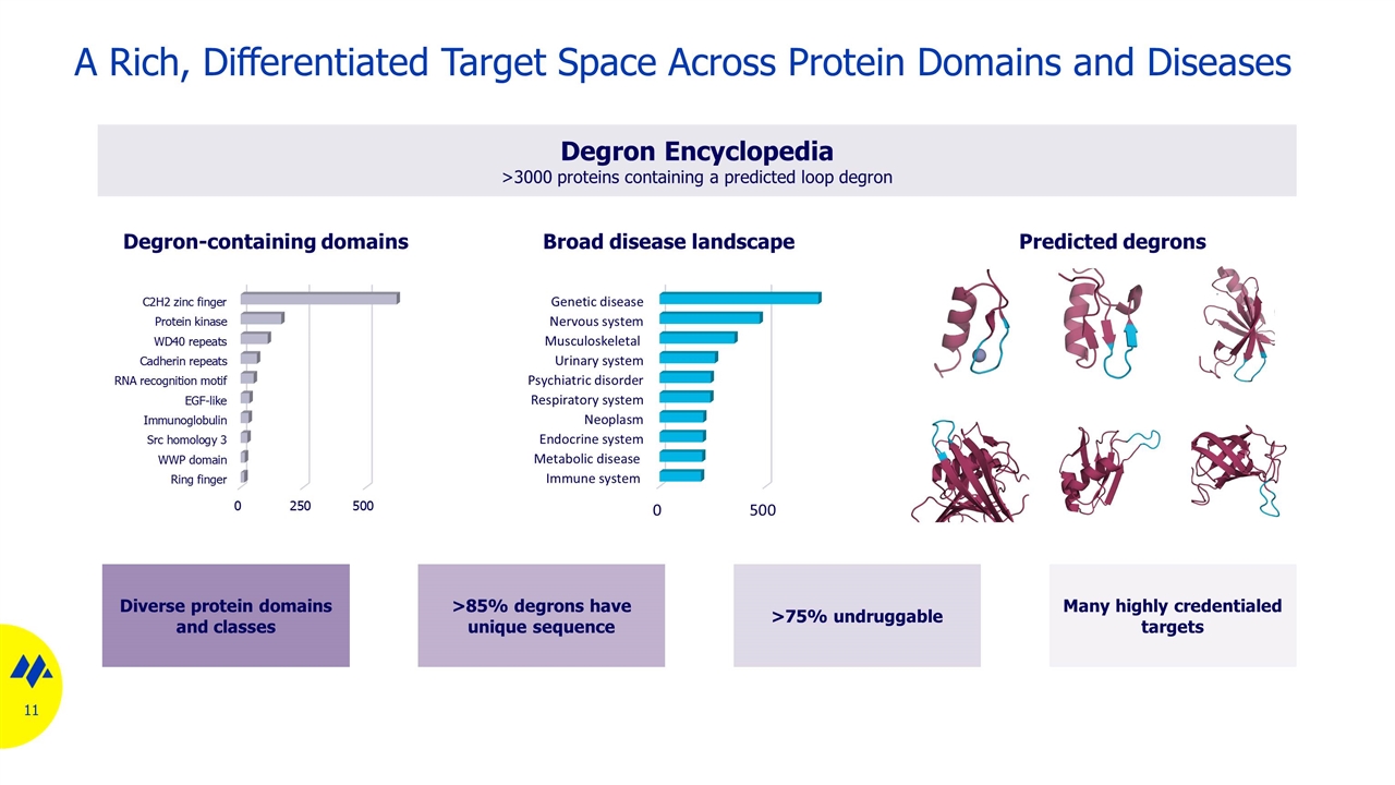 Slide 11