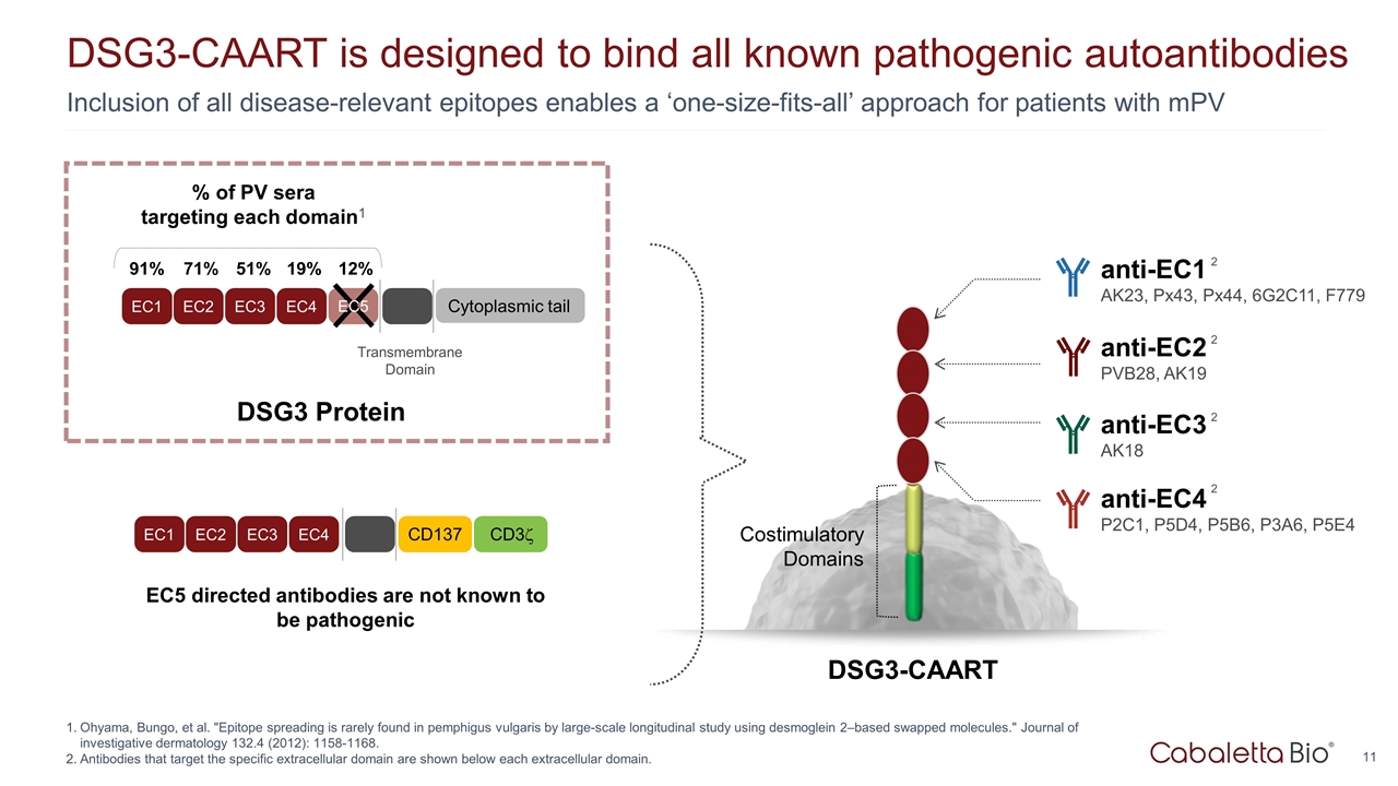 Slide 11