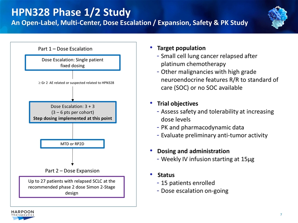 Slide 7