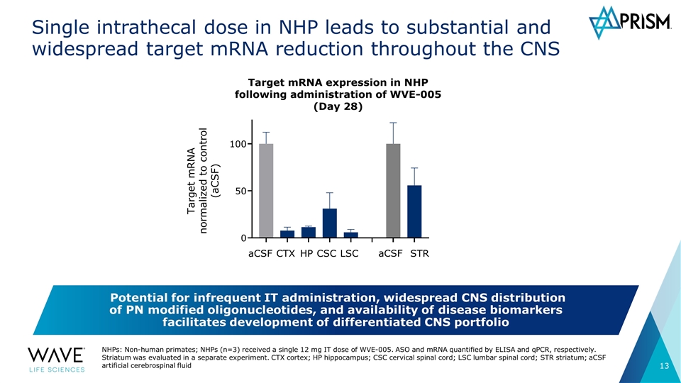 Slide 13