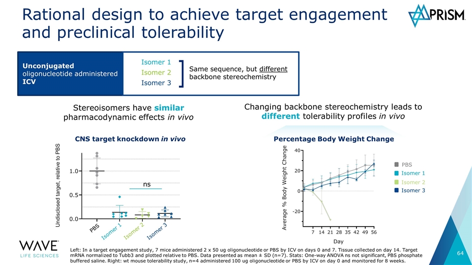 Slide 64