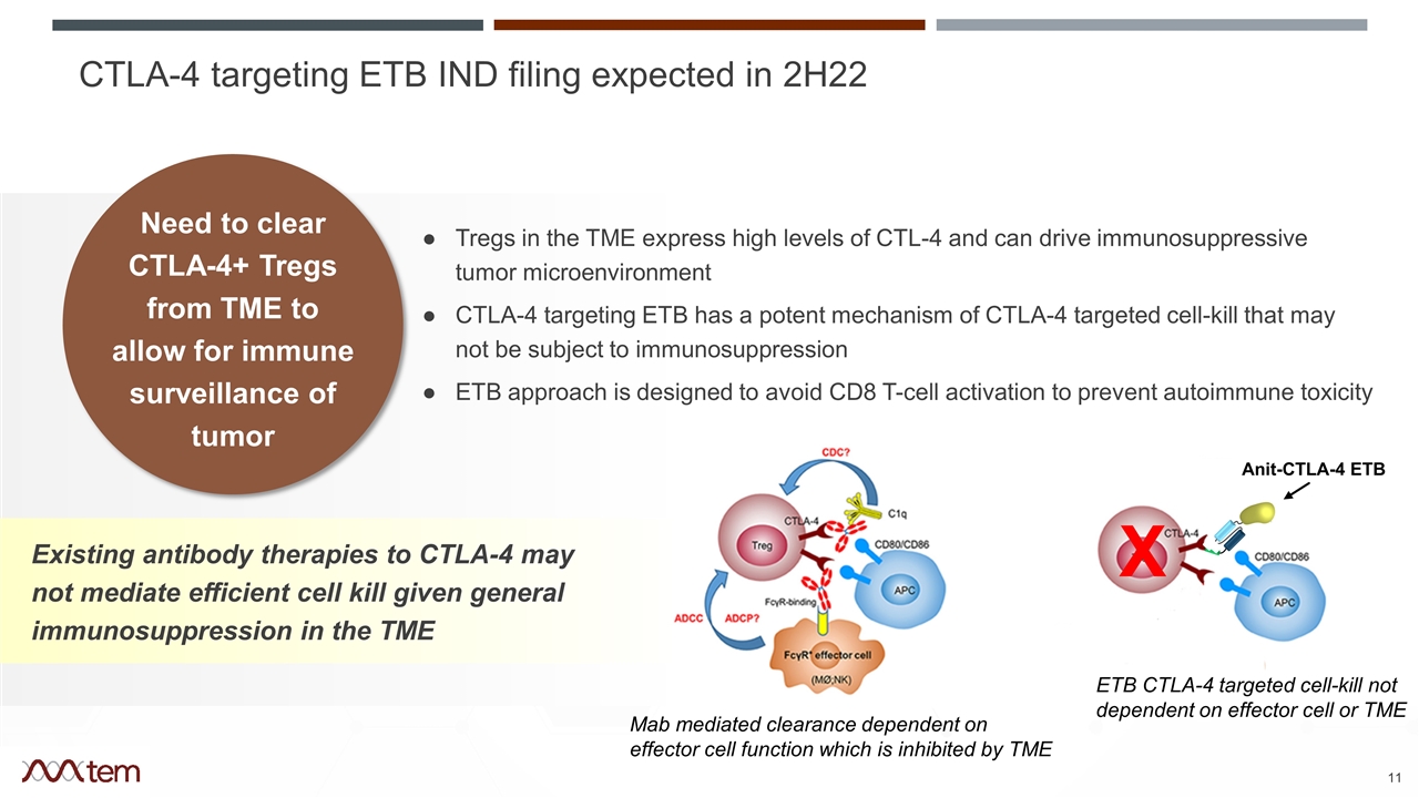 Slide 11