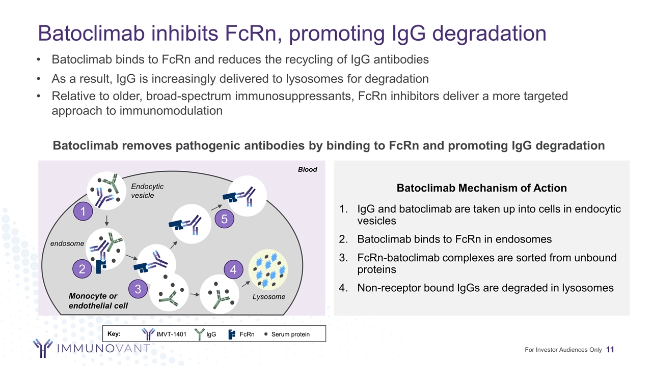 Slide 11