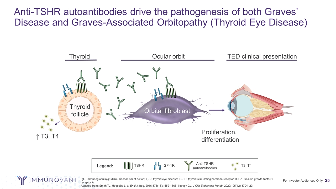 Slide 25