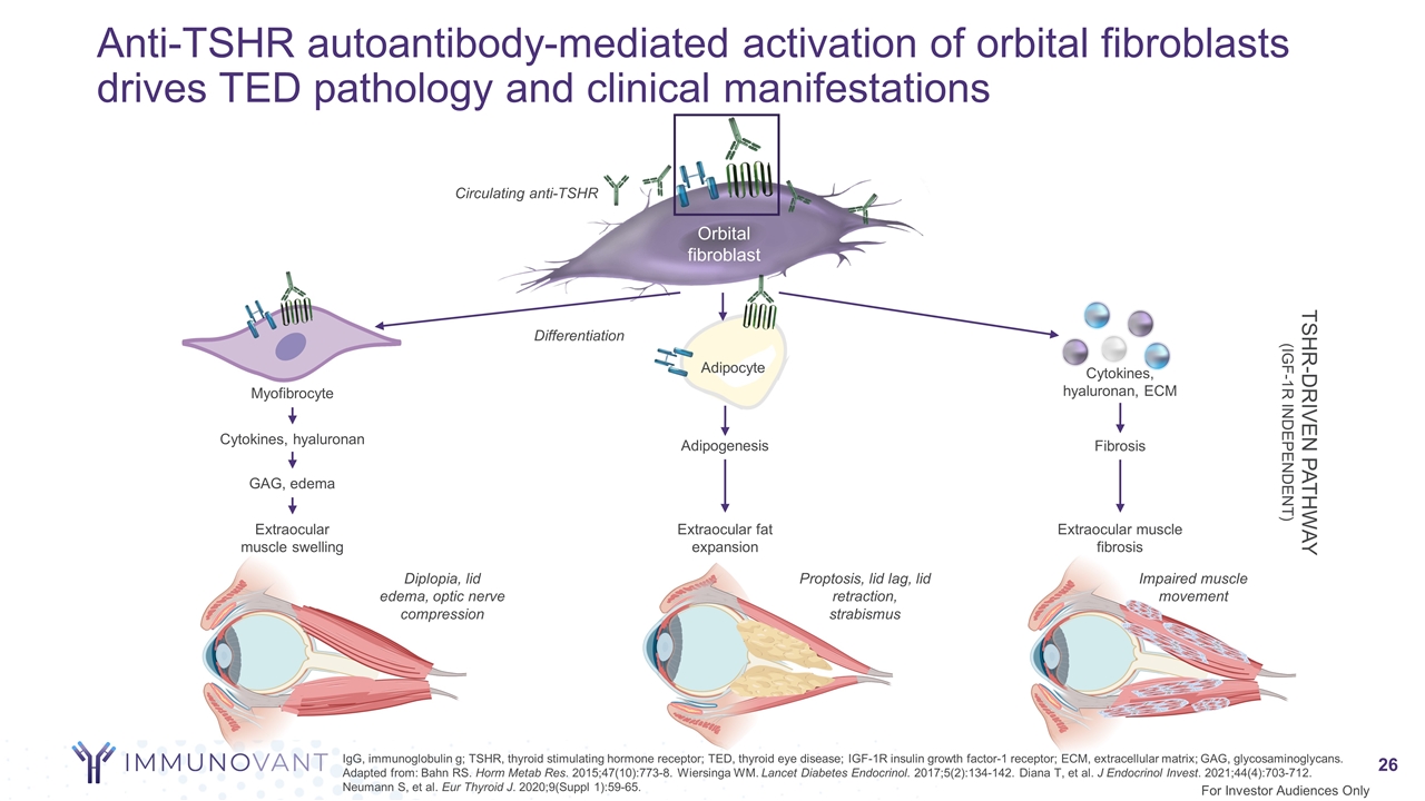 Slide 26