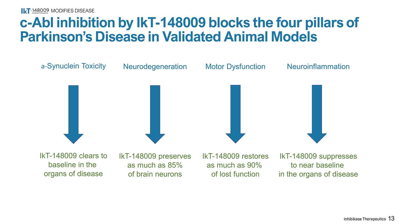 Slide 13