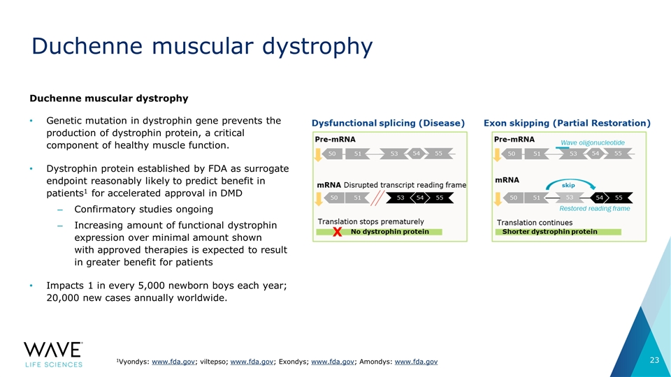 Slide 23