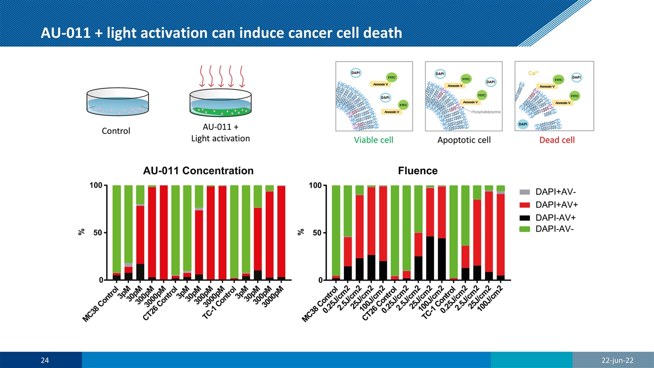 Slide 24