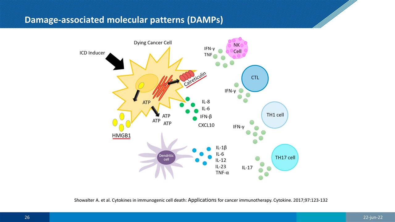 Slide 26