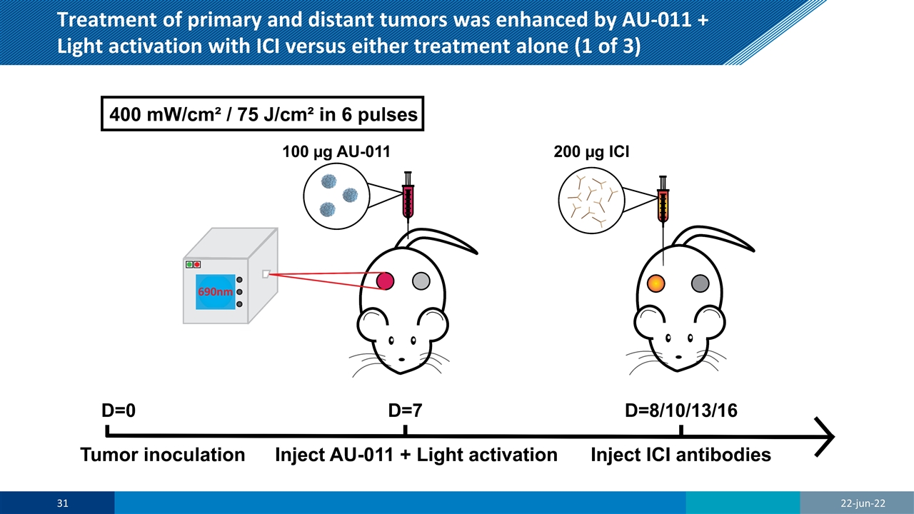 Slide 31