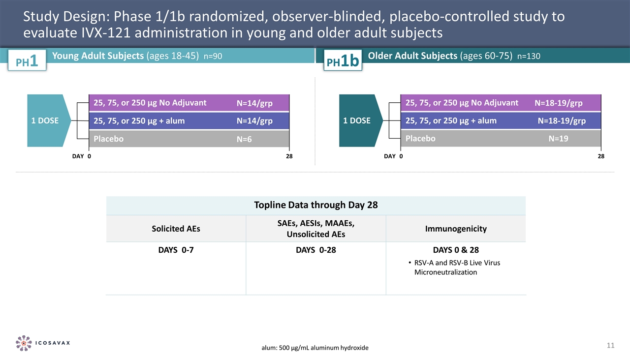 Slide 11