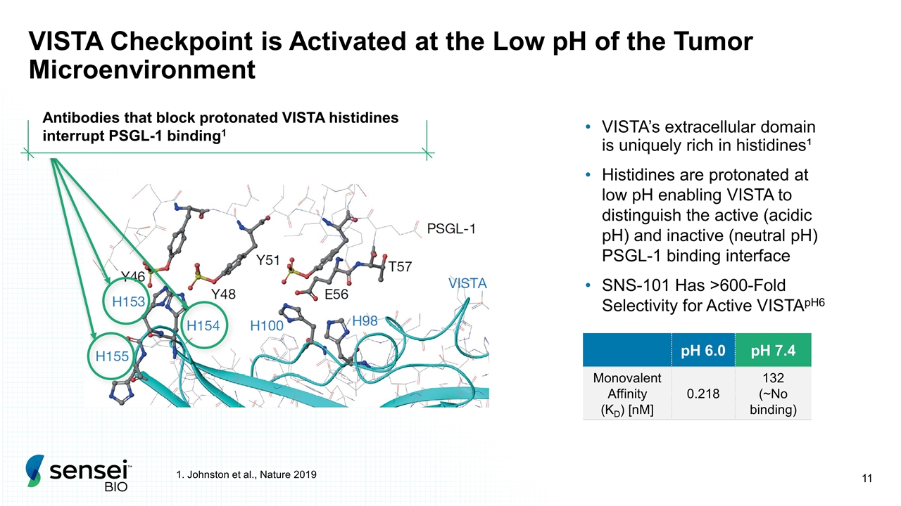 Slide 11