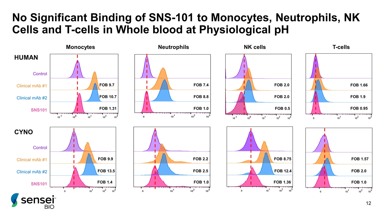 Slide 12