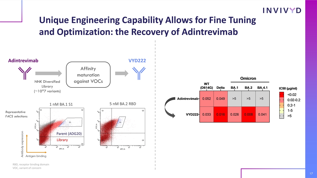 Slide 17