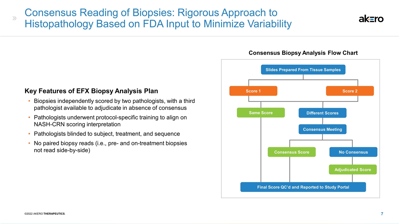 Slide 7