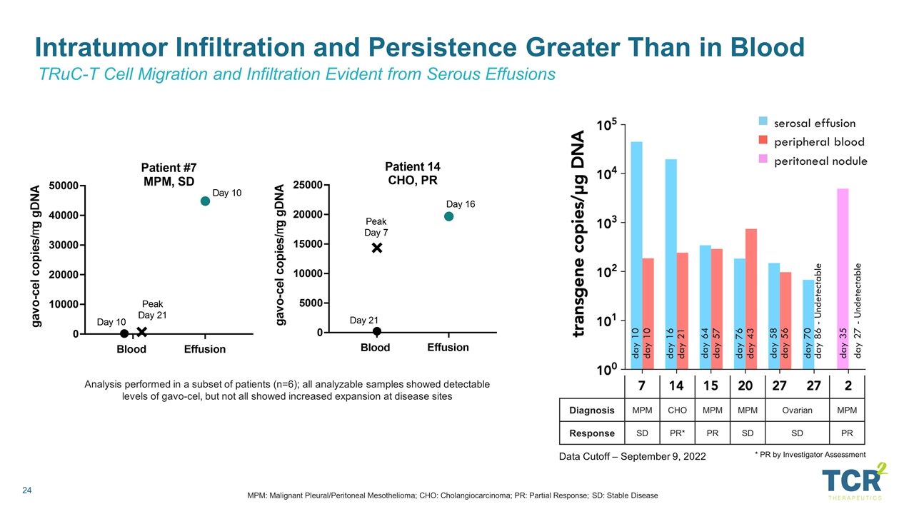 Slide 24