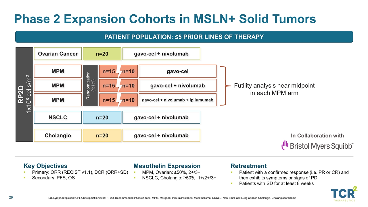 Slide 29