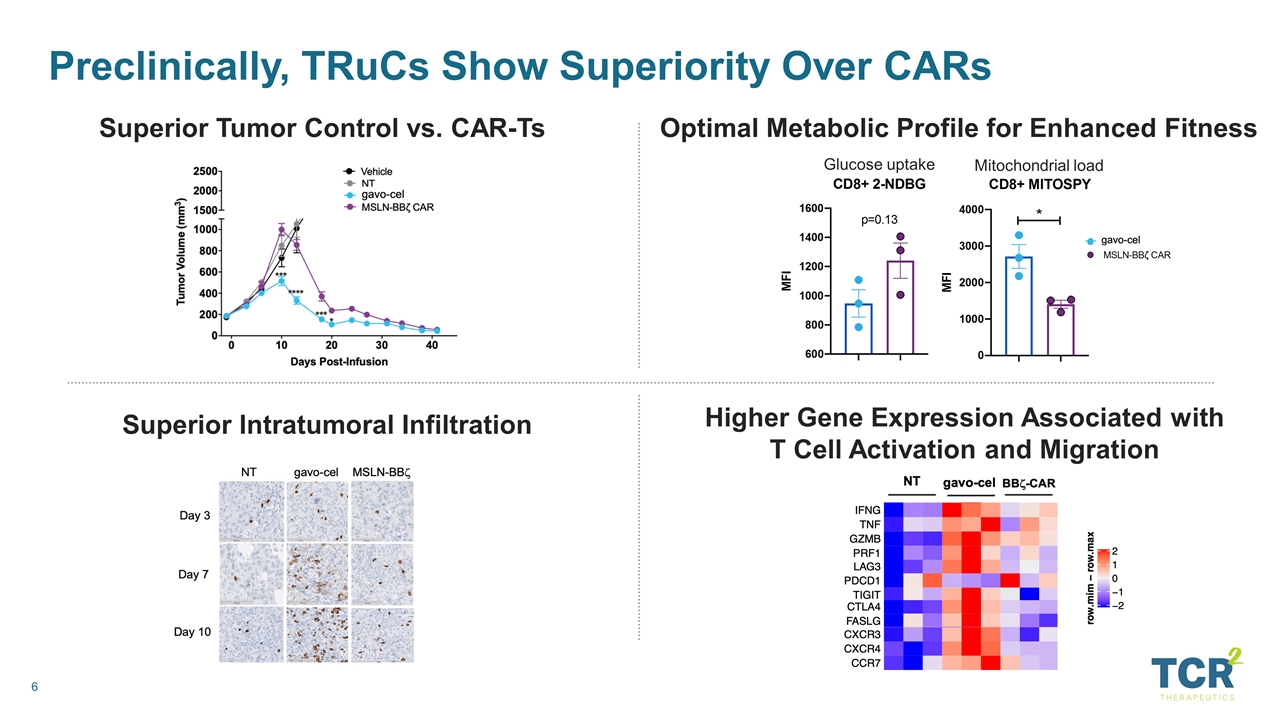 Slide 6