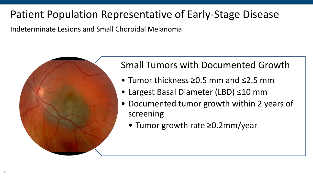 Slide 6