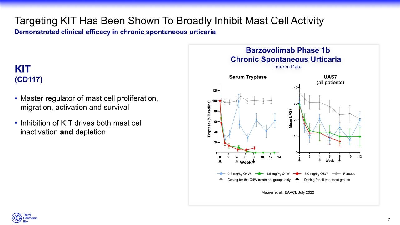 Slide 7