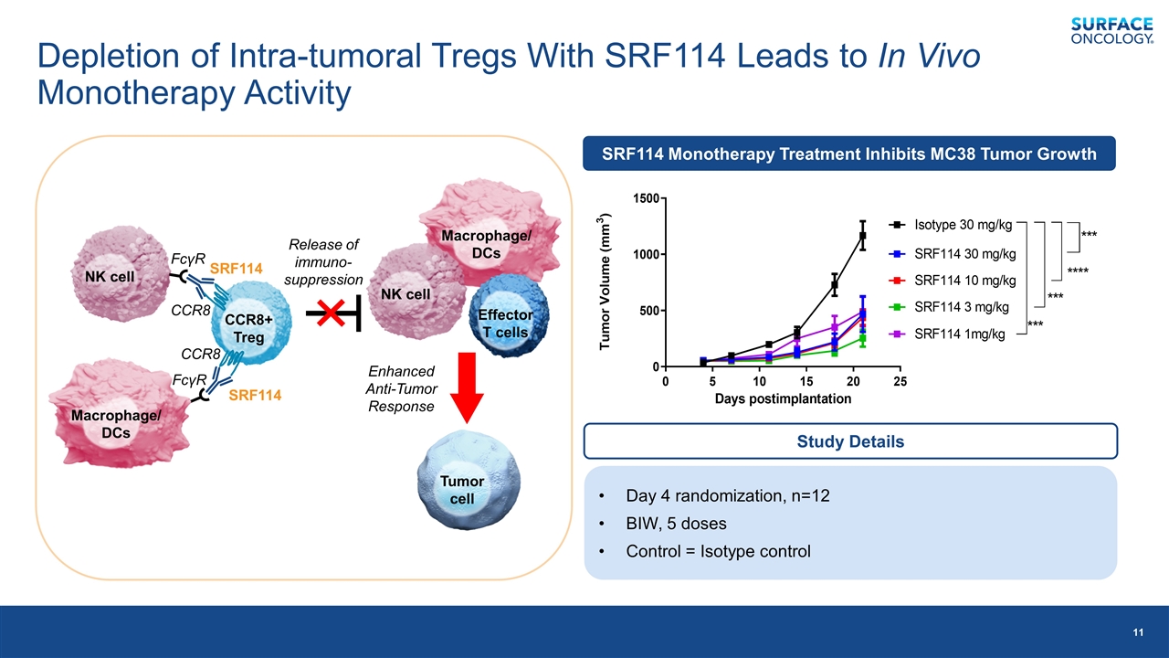 Slide 11