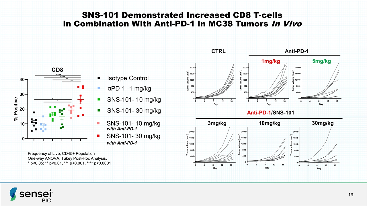 Slide 19