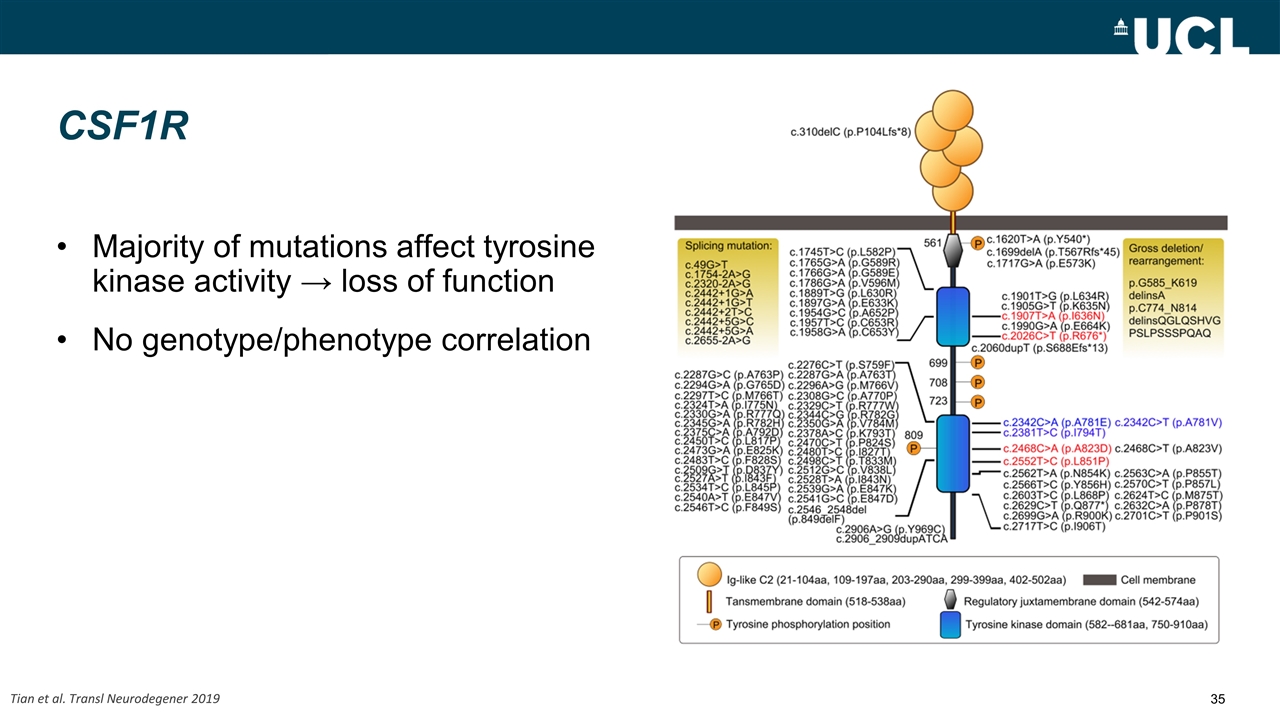 Slide 35