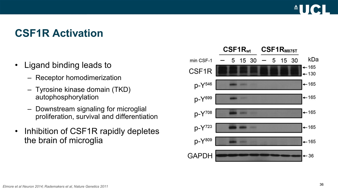 Slide 36