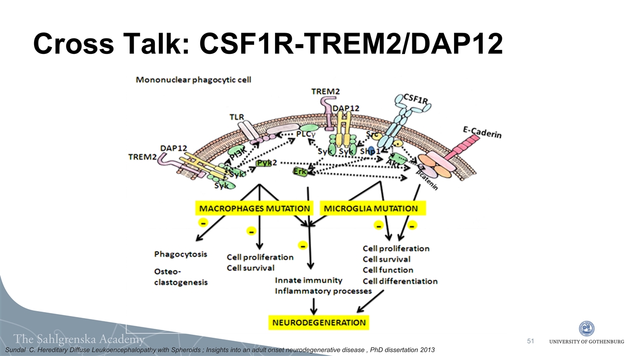 Slide 51