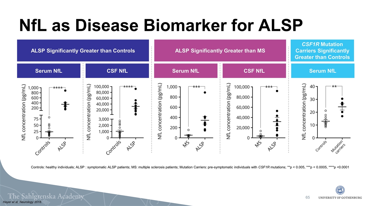 Slide 65