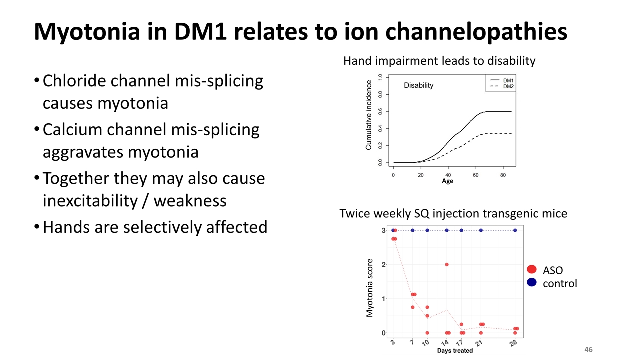 Slide 46