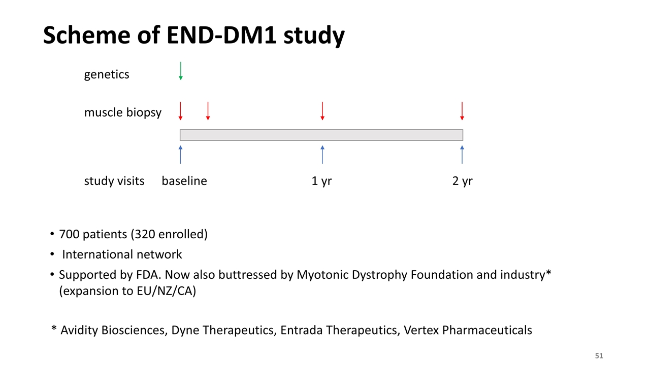 Slide 51