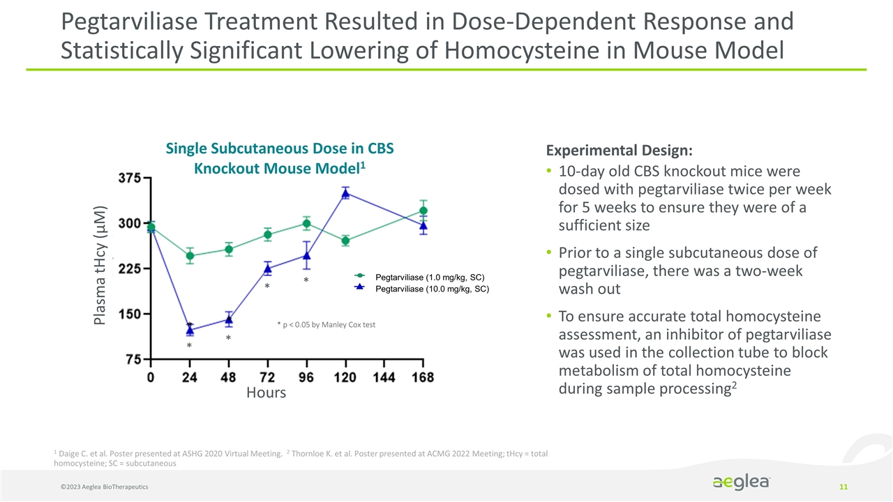 Slide 11