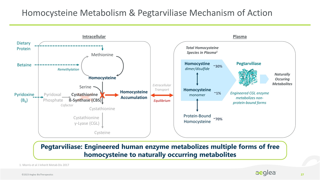 Slide 27