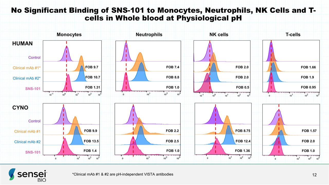 Slide 12