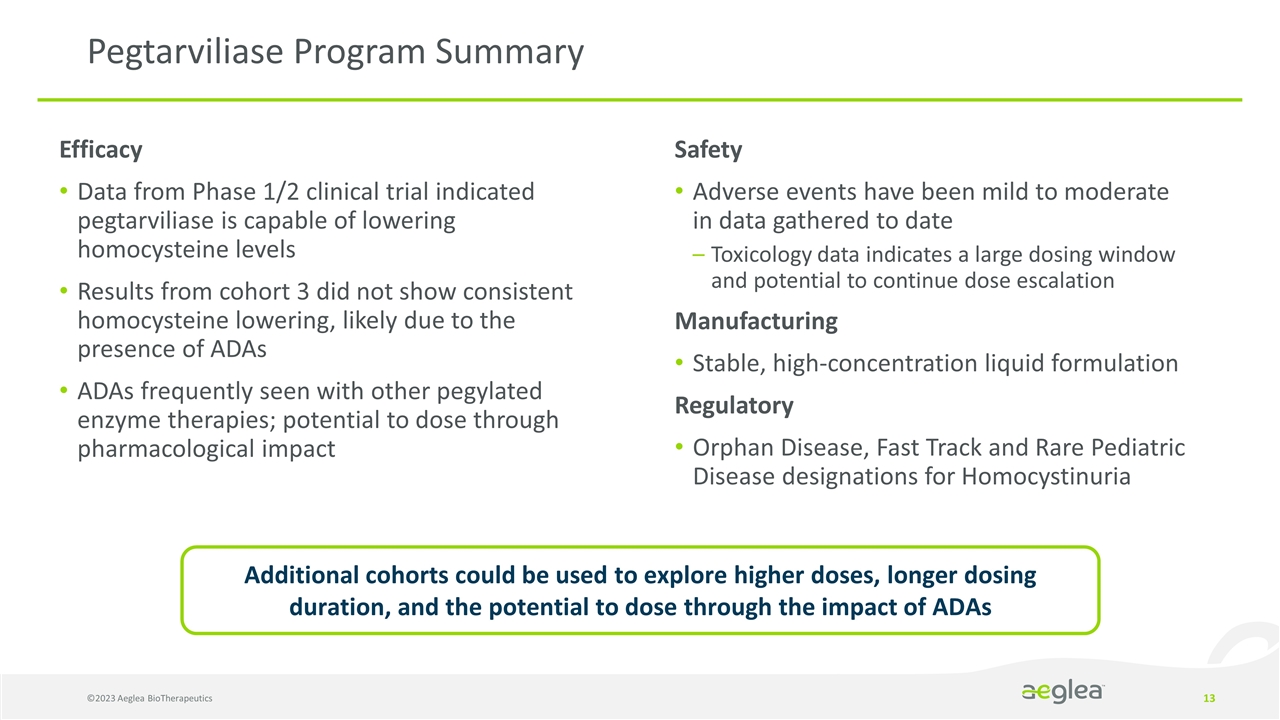 Slide 13