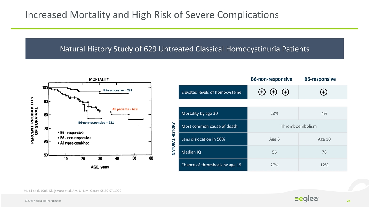 Slide 25