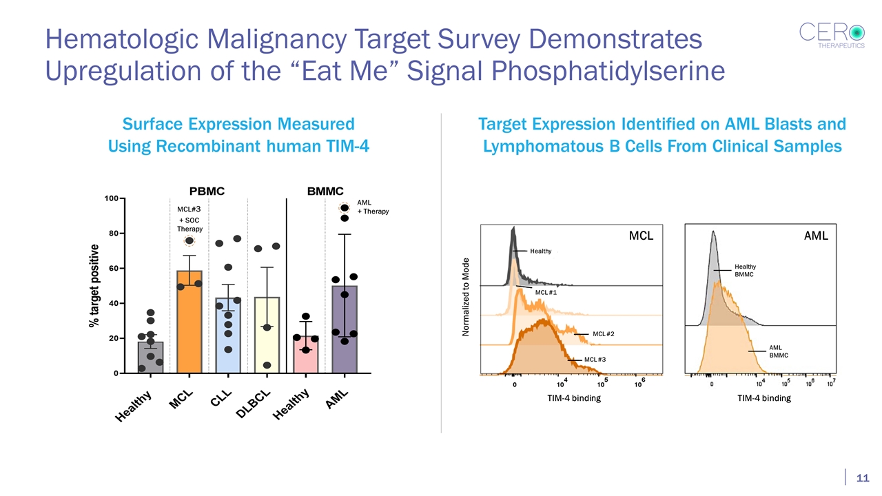 Slide 11