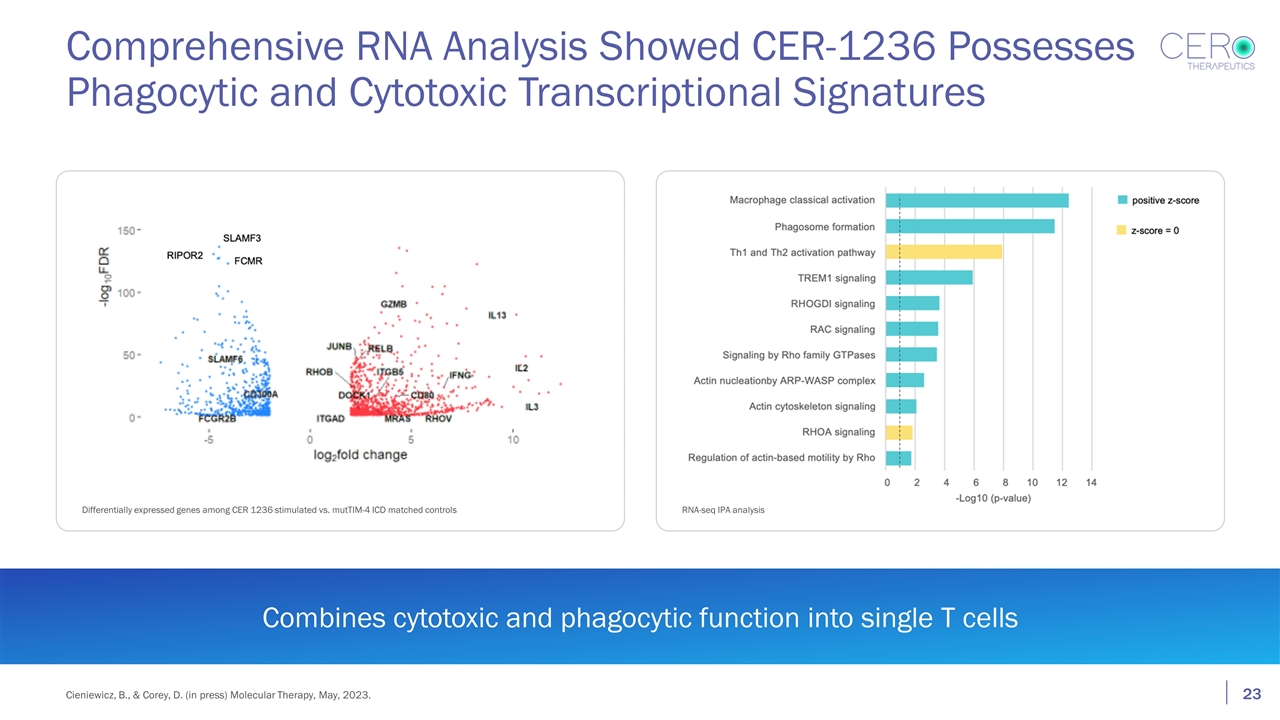 Slide 23