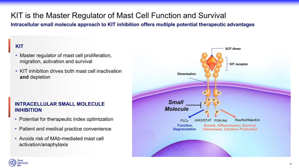 Slide 5