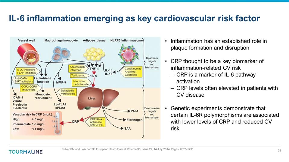 Slide 28