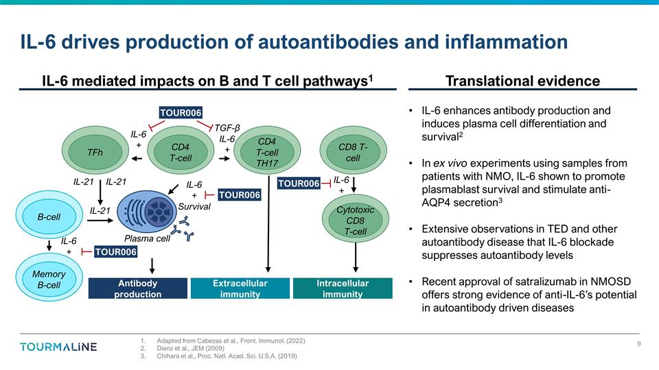 Slide 9