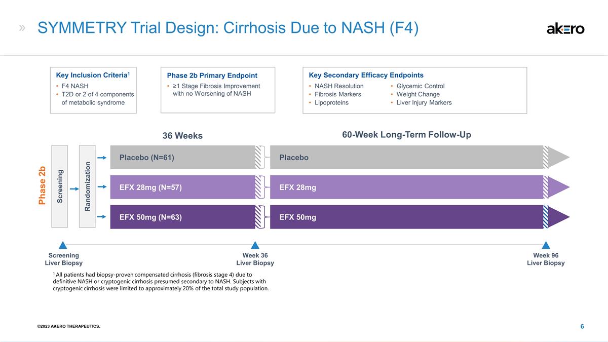 Slide 6