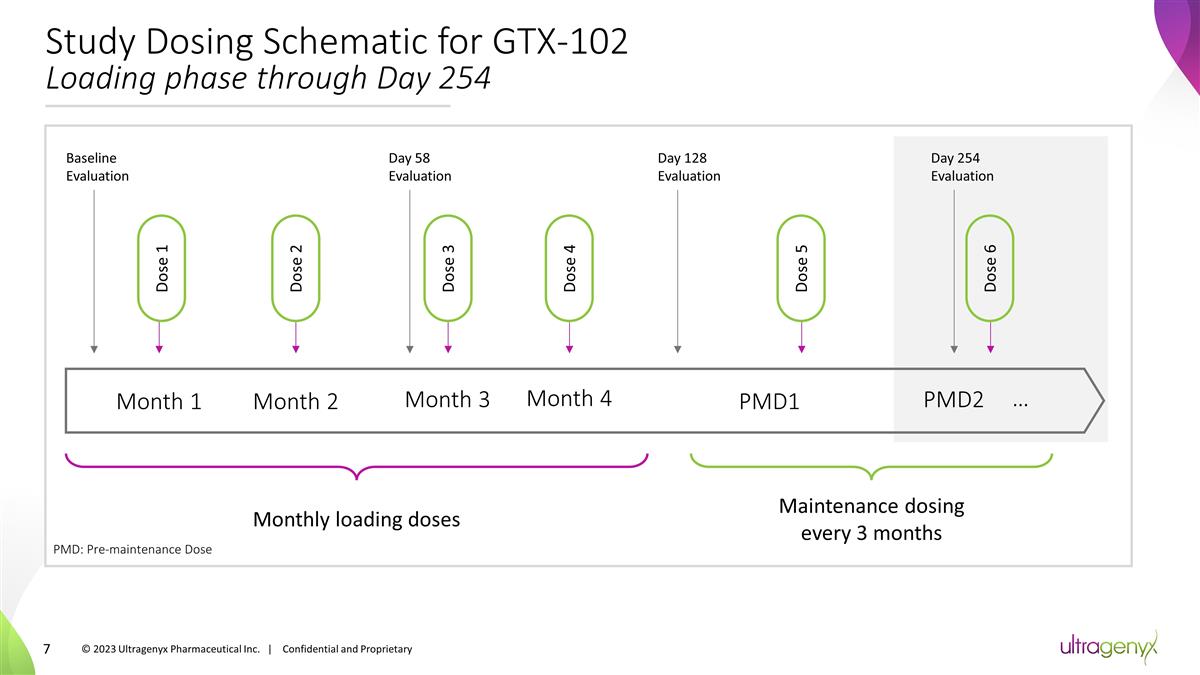 Slide 7