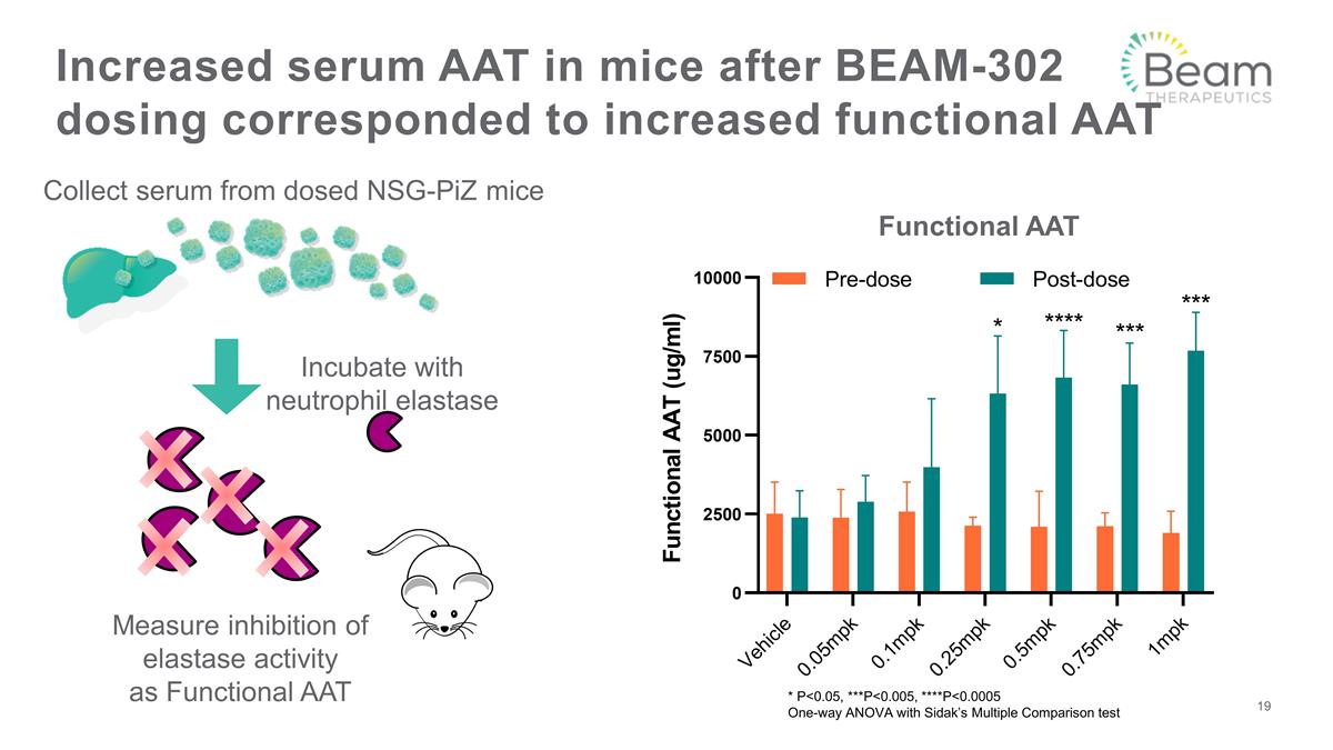 Slide 19