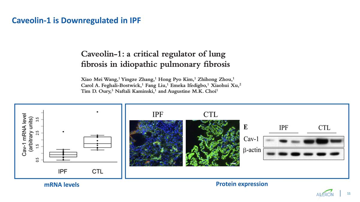 Slide 11